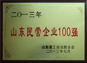 2013ɽӪҵ100ǿ