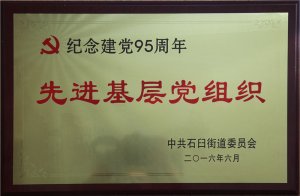 95Ƚ㵳֯2016.6
